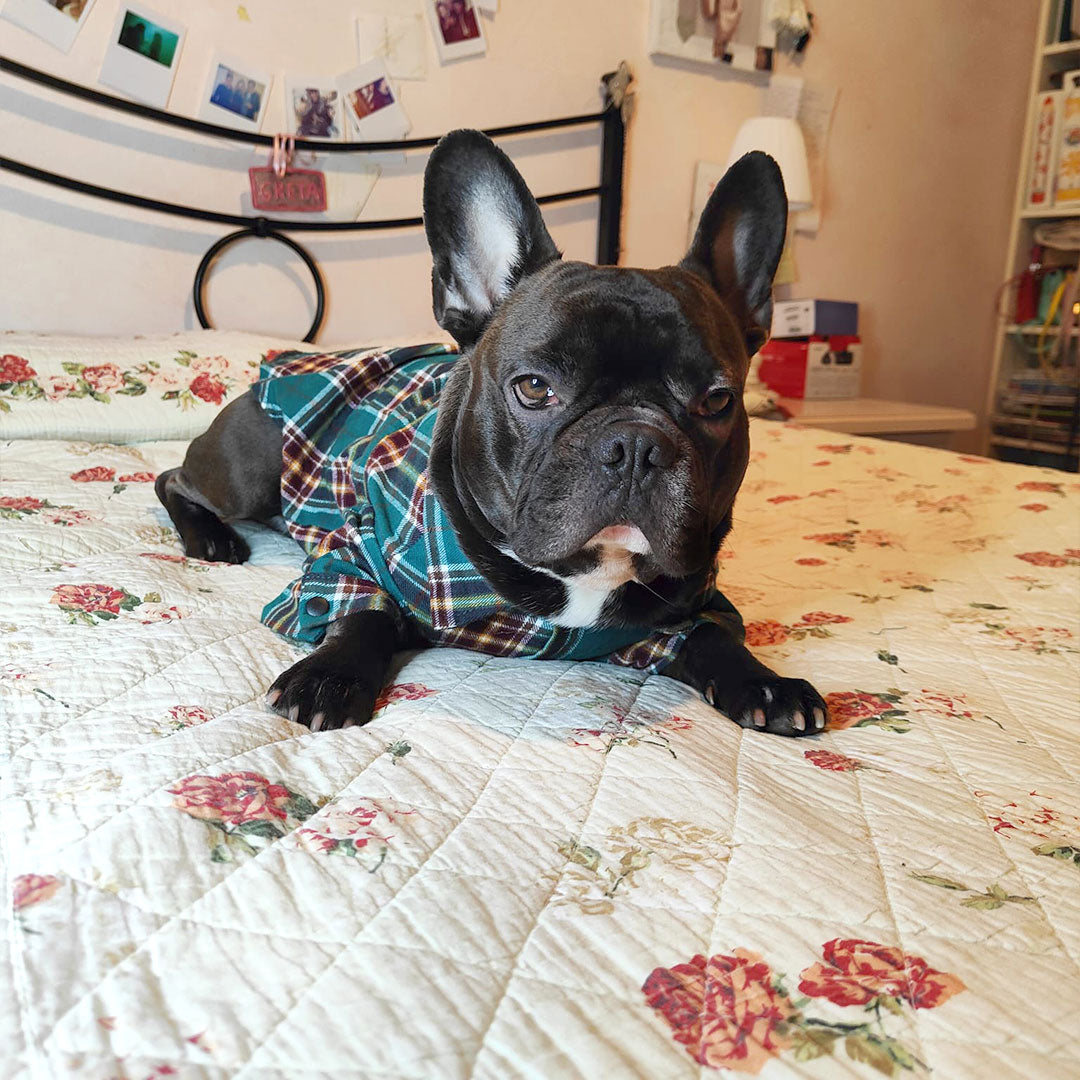 Pigiama camicia verde scozzese - 100% cotone - mod. Sleepy