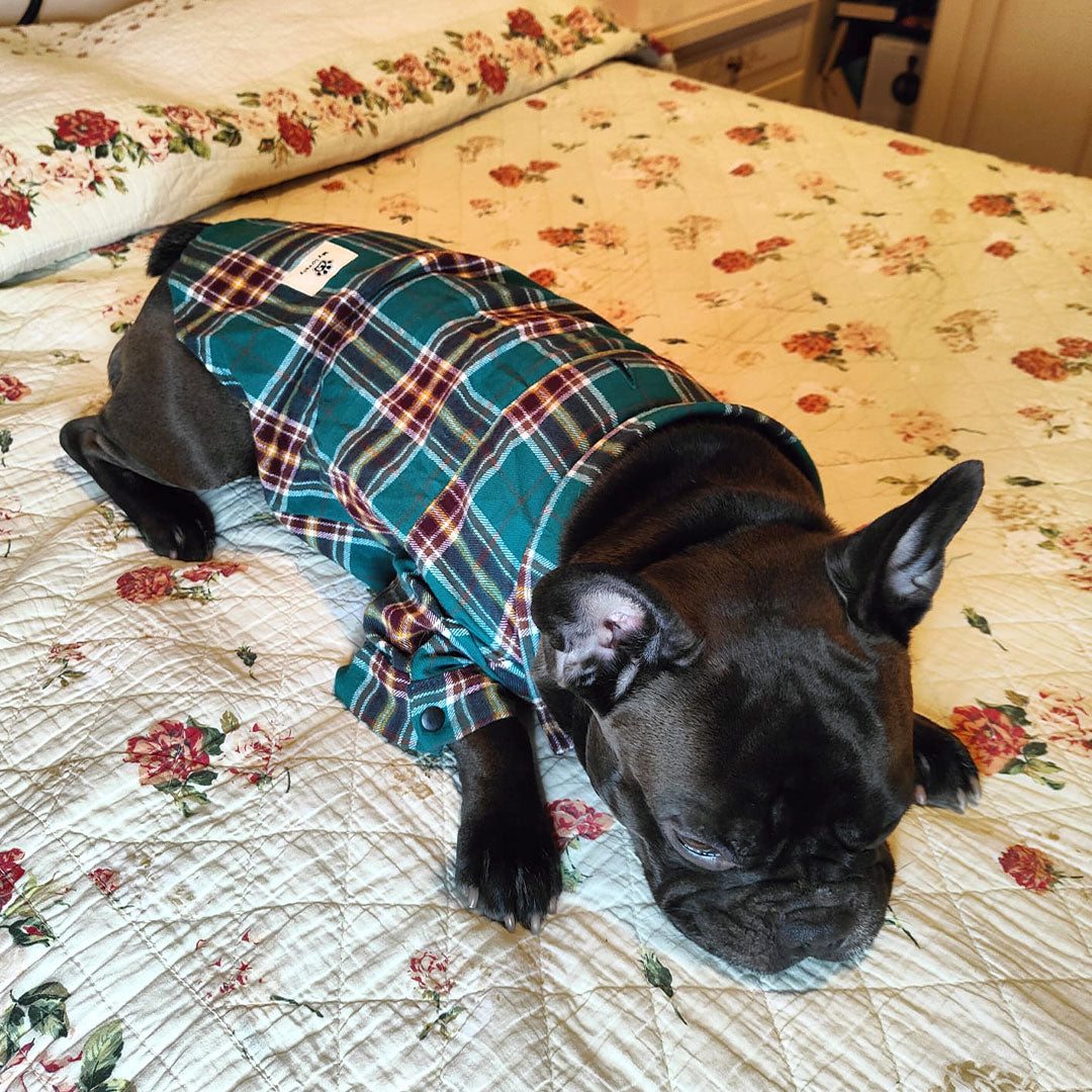 Pigiama camicia verde scozzese - 100% cotone - mod. Sleepy