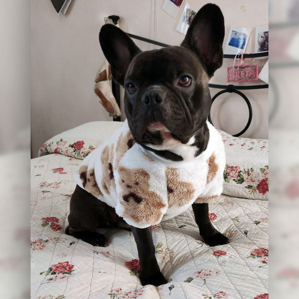 Sweatshirt-Pyjama mit Bären – weich – für kleine und mittelgroße Hunde