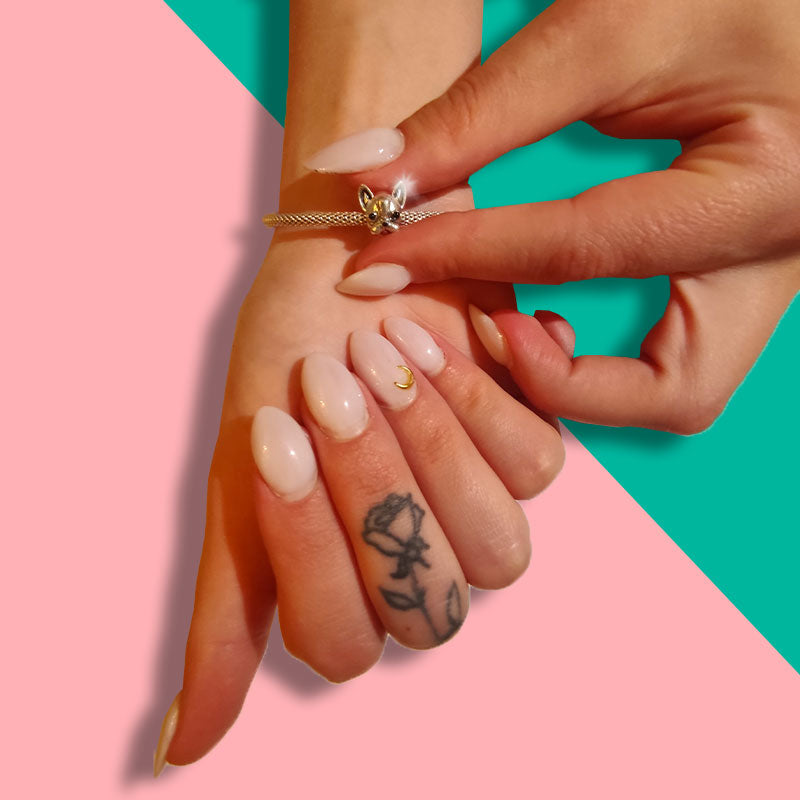 Hundeanhänger – hypoallergen – vermessingt