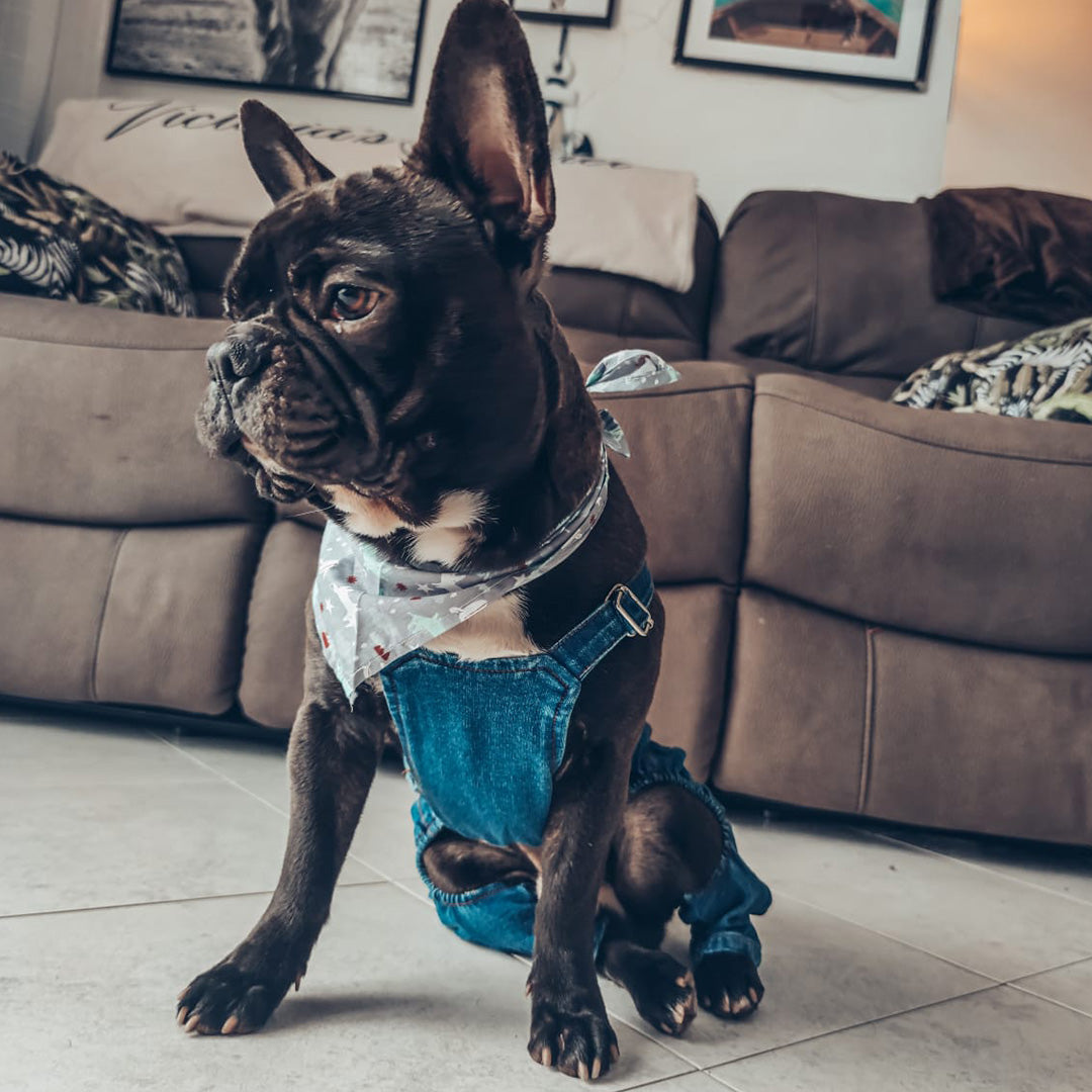 Latzhose - Mod. Lovis