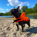 Haifischflossen-Schwimmweste für Hunde – 3 Farben