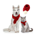 Gestrickter roter Schal – für alle Hunde