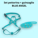 [SET] Blue Angel harness and leash