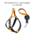 [SET] Gray and orange harness and leash - in cotton