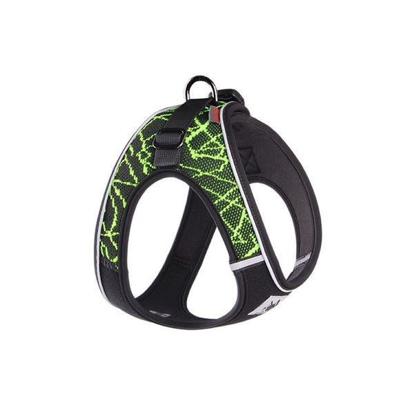 Green, purple and gray harness - mod. Spark 