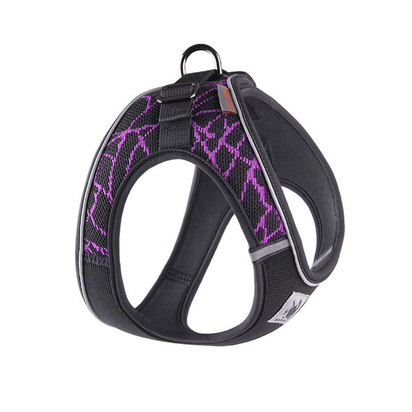 Green, purple and gray harness - mod. Spark 
