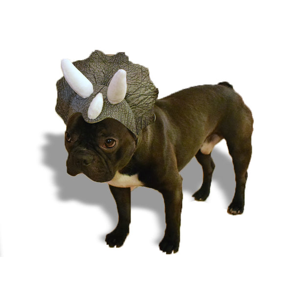 Costume testa triceratopo