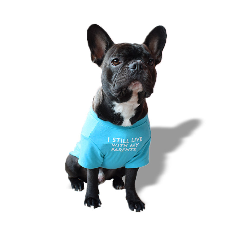 Bulldog Light blue T-shirt "I still live..." - mod. Fammy